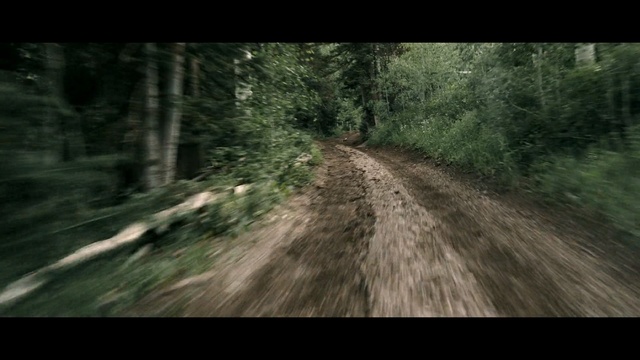 Video Reference: Nature, Natural environment, Forest, Woodland, Trail, Dirt road, Tree, Wilderness, Road, Biome