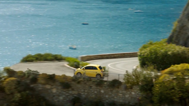 Video Reference: plant, car, coast, tree, sea, vehicle, sky, water, landscape, bay