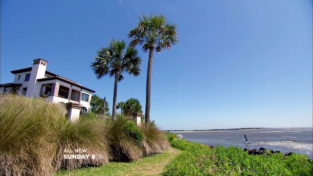 Video Reference: Tree, Property, Vegetation, Palm tree, Natural landscape, Shore, Sky, House, Arecales, Sea