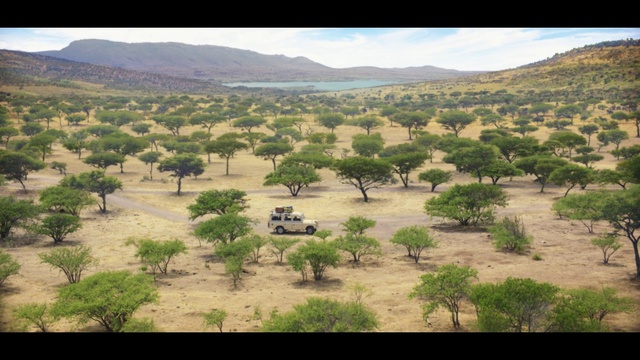 Video Reference: Nature, Natural environment, Vegetation, Wilderness, Shrubland, Natural landscape, Savanna, Plant community, Tree, Ecoregion