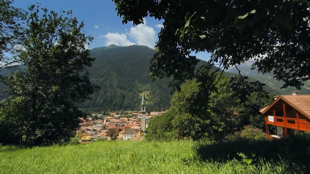 Video Reference: Natural landscape, Nature, Hill station, Wilderness, Rural area, Tree, Land lot, Mountain, Landscape, Grass