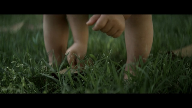 Video Reference: People in nature, Nature, Grass, Leg, Meadow, Human leg, Grass, Hand, Lawn, Plant