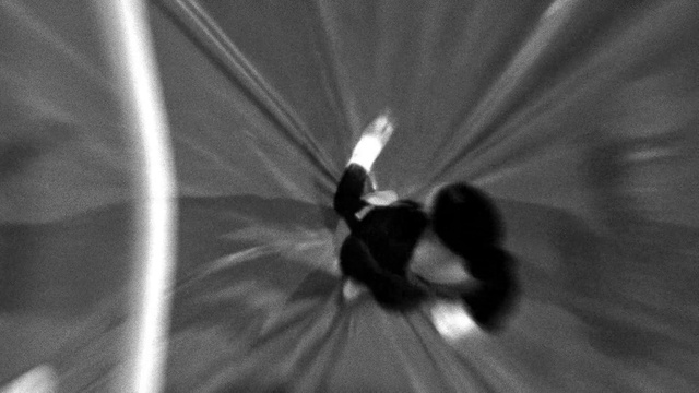 Video Reference: White, Black, Monochrome photography, Black-and-white, Monochrome, Photography, Macro photography, Stock photography, Shadow, Plant