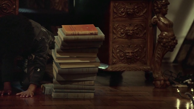 Video Reference: Hardwood, Floor, Wood, Flooring, Wood stain, Wood flooring, Furniture, Room, Darkness, Art