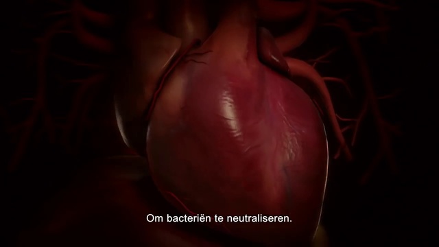 Video Reference: Red, Still life photography, Nose, Close-up, Joint, Flesh, Organ, Vegetable, Shoulder, Mouth