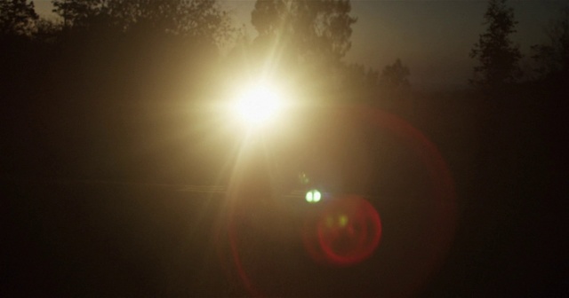 Video Reference: Sky, Sun, Atmospheric phenomenon, Lens flare, Light, Sunlight, Morning, Cloud, Tree, Sunrise