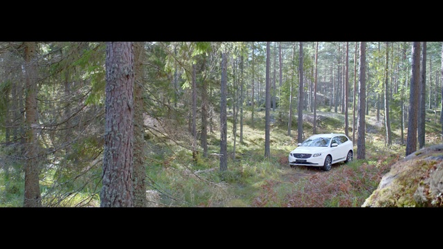 Video Reference: car, ecosystem, nature, forest, wilderness, woodland, motor vehicle, tree, vehicle, off roading