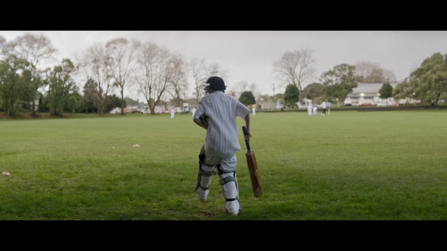 Video Reference: Cricket, Grassland, Lawn, Cricket bat, Grass, Sport venue, Standing, Player, Sports, Ball game