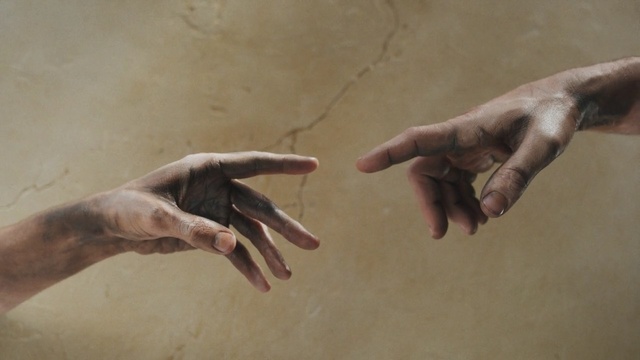 Video Reference: starfish, echinoderm, invertebrate