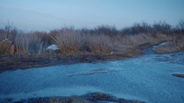 Video Reference: Natural landscape, Water, Sky, Natural environment, Marsh, Salt marsh, Wetland, Bank, Floodplain, Winter