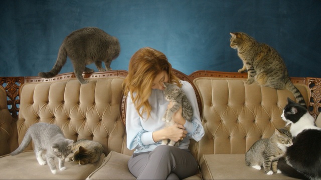 Video Reference: mammal, fur, cat, carnivoran