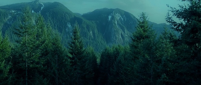 Video Reference: vegetation, ecosystem, nature, forest, tropical and subtropical coniferous forests, nature reserve, wilderness, tree, spruce fir forest, mountainous landforms