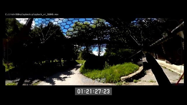 Video Reference: Nature, Tree, Sky, Photography, Technology, Adaptation, Landscape, Plant, Screenshot, Photo caption