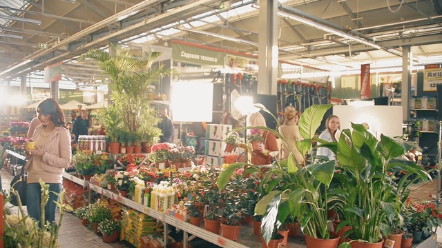 Video Reference: Marketplace, Houseplant, Greenhouse, Local food, Floristry, Botany, Plant, Flower, Market, Whole food