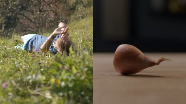 Video Reference: photograph, grass, recreation, vacation, Person