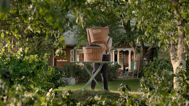 Video Reference: House, Property, Home, Building, Real estate, Estate, Tree, Architecture, Cottage, Tree house, Person