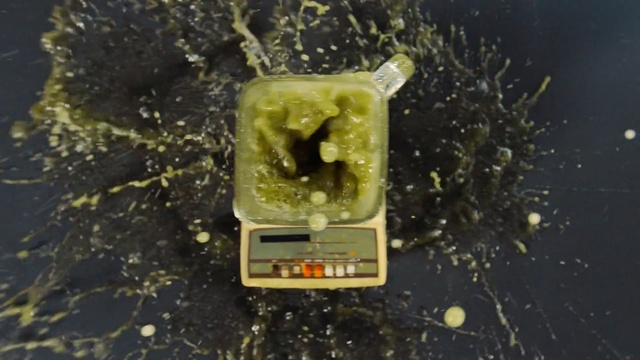 Video Reference: water, organism