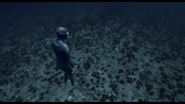 Video Reference: water, atmosphere, underwater, sky, screenshot, freediving, underwater diving, darkness, organism, marine biology