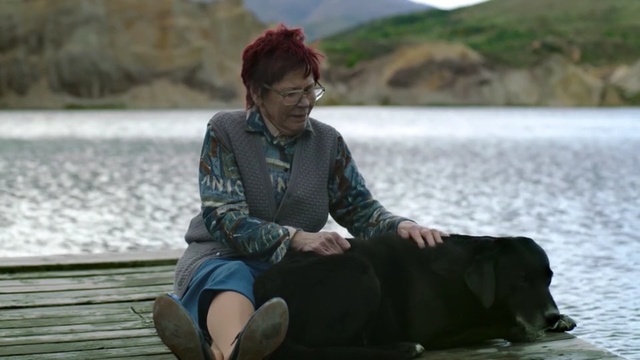 Video Reference: mammal, vertebrate, sitting, human, water, fun, vacation, dog like mammal