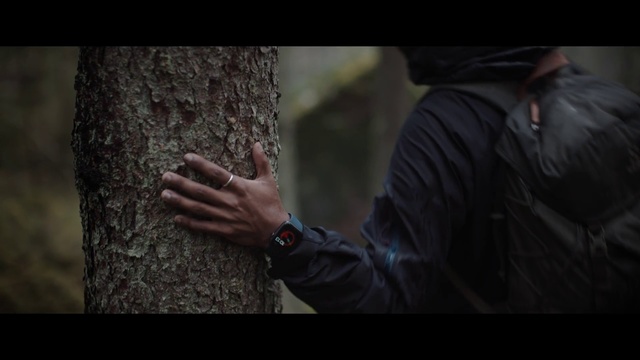 Video Reference: Tree, Woody plant, Human, Photography, Bouldering, Trunk, Adaptation, Jacket, Plant, Portrait