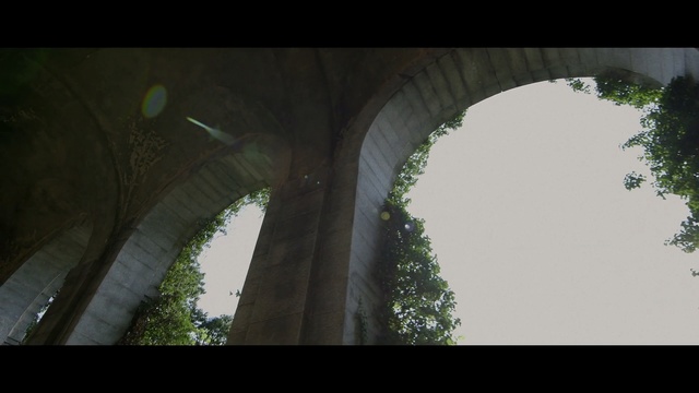 Video Reference: green, tree, arch, sky, woody plant, leaf, architecture, sunlight, daytime, plant