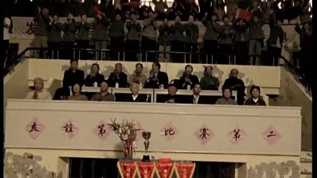 Video Reference: Crowd, Audience, Sport venue