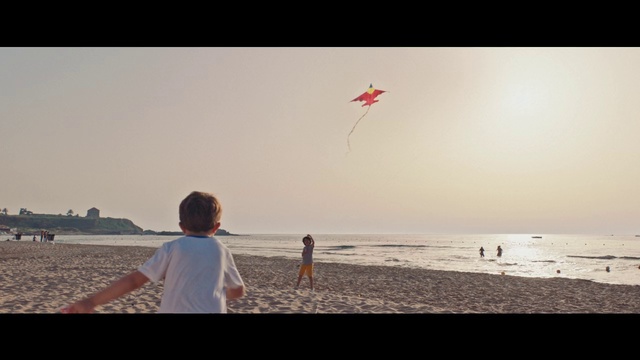 Video Reference: Kite, Sport kite, Horizon, Sky, Kite sports, Beach, Shore, Sea, Fun, Ocean