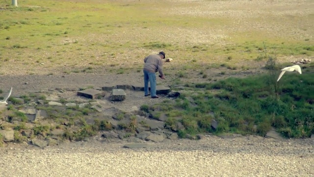 Video Reference: ecosystem, wildlife, nature reserve, fauna, grassland, safari, ecoregion, grass, savanna, national park