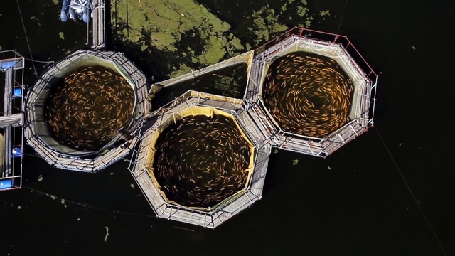 Video Reference: Plant, Soil