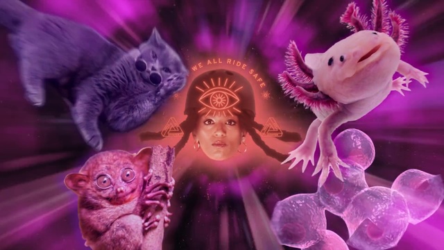 Video Reference: Purple, Violet, Cat, Organism, Animation, Felidae, Small to medium-sized cats, Kitten, Fictional character, Graphic design