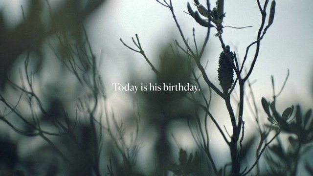 Video Reference: Nature, Branch, Plant, Botany, Grass, Flower, Black-and-white, Organism, Twig, Font