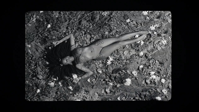 Video Reference: photograph, black, black and white, monochrome photography, photography, darkness, monochrome, still life photography, organism, atmosphere