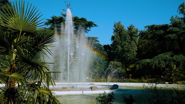 Video Reference: water, nature, body of water, tree, vegetation, arecales, palm tree, water feature, tourist attraction, leaf