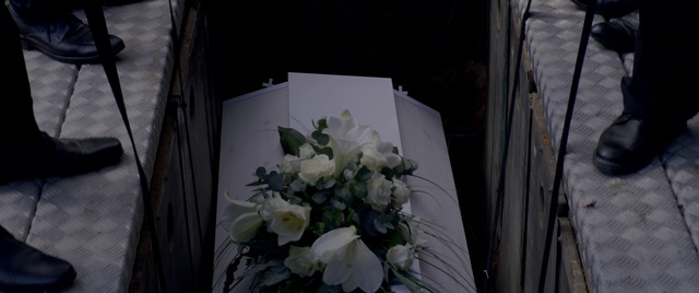 Video Reference: Flower, Bouquet, Plant, Flower Arranging, Petal, Floral design, Floristry, Cut flowers, Still life photography, Rose family