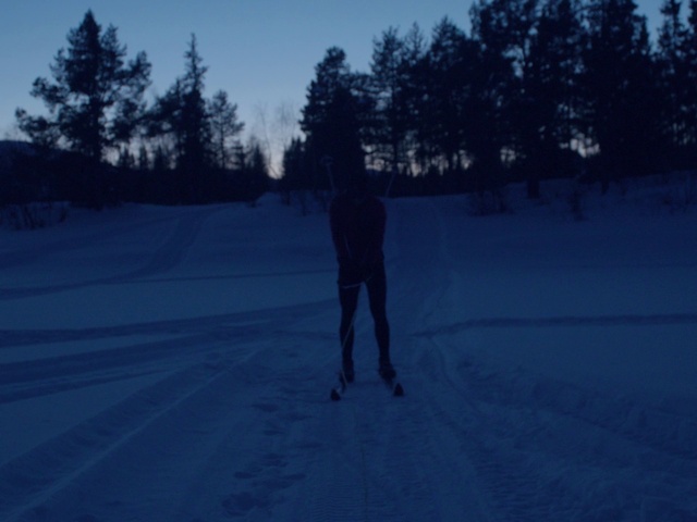 Video Reference: Sky, Cloud, Sports equipment, Plant, Snow, Tree, Slope, Ski Equipment, Ski, Winter sport