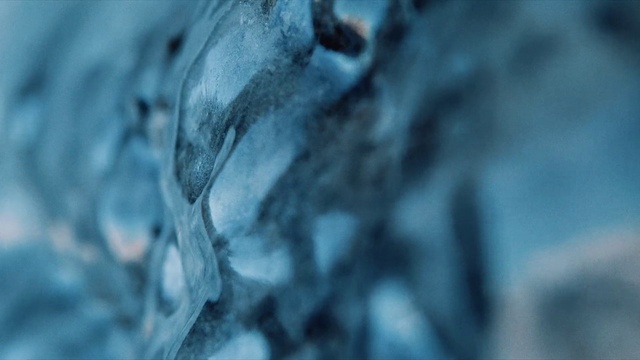 Video Reference: Plant, Water, Sky, Grey, Wood, Twig, Tree, Cloud, Freezing, Electric blue