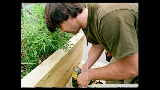 Video Reference: Wood, Adaptation