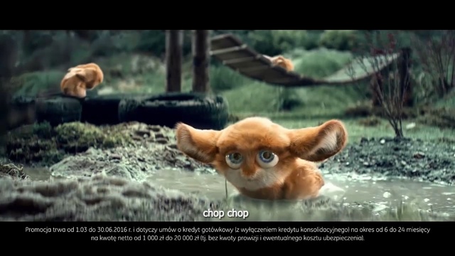 Video Reference: Vertebrate, Mammal, Wildlife, Organism, Photo caption, Adaptation, Snout, Terrestrial animal, Felidae, Carnivore