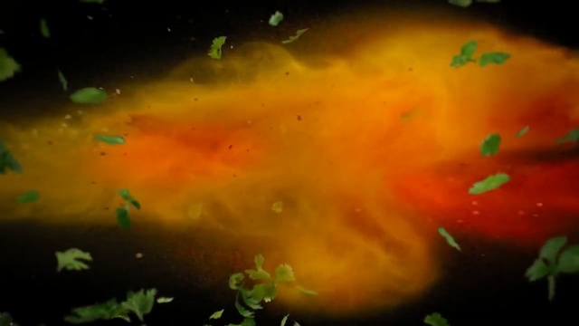 Video Reference: Nature, Green, Water, Close-up, Macro photography, Goldfish, Marine biology, Organism, Fish, Sunlight