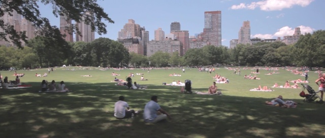 Video Reference: grass, park, plant, sky, recreation, city, tree, lawn, leisure, meadow