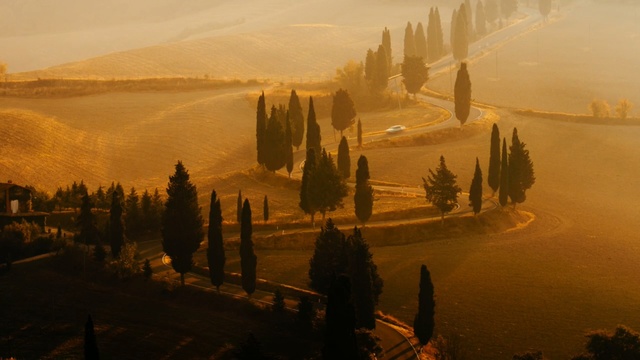 Video Reference: sky, morning, atmosphere, dawn, sunrise, screenshot, sunlight, evening, landscape, tree, Person