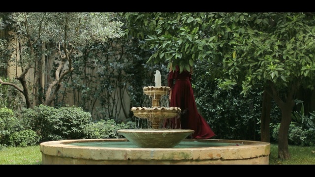 Video Reference: nature, plant, garden, vegetation, tree, leaf, botanical garden, water feature, landscape, grass