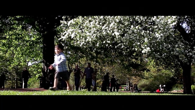 Video Reference: tree, plant, nature, green, photograph, woody plant, vertebrate, grass, leaf, flora, Person