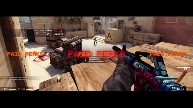 Video Reference: Action-adventure game, Pc game, Shooter game, Games, Screenshot, Video game software, Recreation, Shooting, Combat, Fictional character