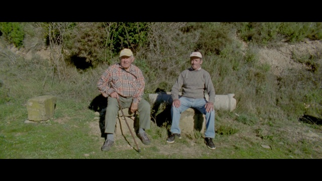 Video Reference: Adaptation, Fun, Grass, Photography, Recreation, Landscape, Pasture, Walking, Grassland