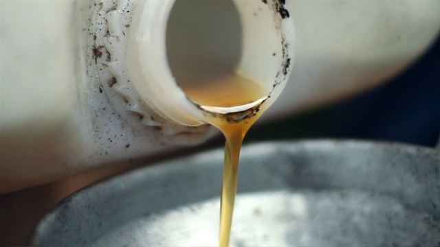 Video Reference: Honey, Food, Dairy, Ghee