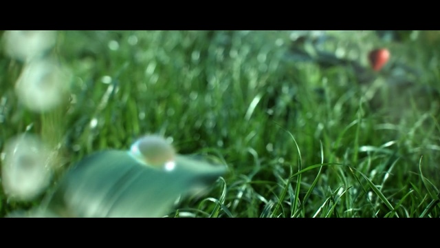 Video Reference: Nature, Grass, Green, Water, Leaf, Lawn, Macro photography, Close-up, Grass, Organism