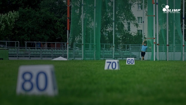 Video Reference: Green, Grass, Text, Football, Line, Player, Soccer, Goal, Sport venue, Stadium