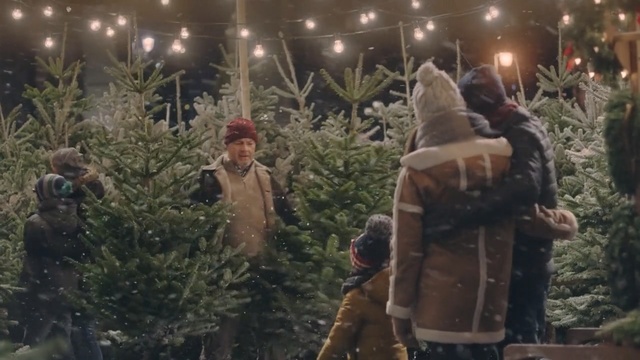 Video Reference: Tree, Fun, Interior design, Christmas decoration, Christmas tree, Plant, Winter, Christmas, Branch, Nativity scene