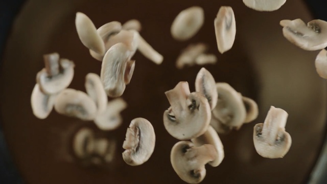 Video Reference: organism, material, macro photography, Person